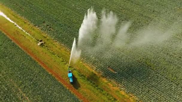 Irrigatiesysteem voor landbouwgrond. — Stockvideo