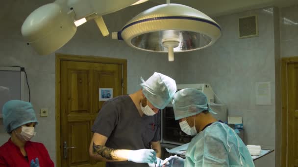 Operación quirúrgica de un perro en una clínica veterinaria — Vídeo de stock