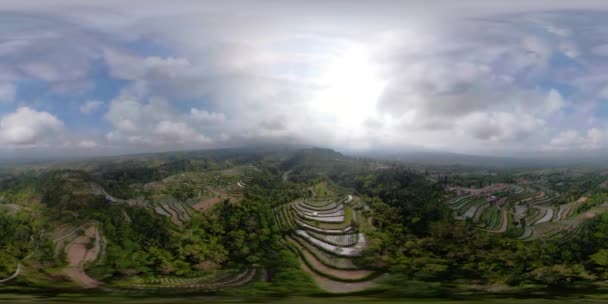 Terreno agrícola paisaje tropical en Indonesia vr360 — Vídeo de stock