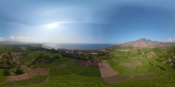 Tropikalny krajobraz pól uprawnych a miejscowości Bali, Indonezja. vr360 — Wideo stockowe