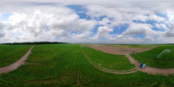 Sistema de irrigação em terras agrícolas. — Vídeo de Stock