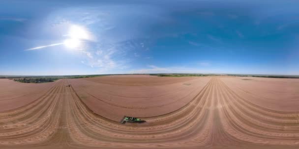 Combineren van harvester op tarweveld Vr360 — Stockvideo