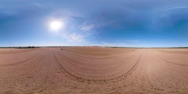 Combine harvester on wheat field VR360 — Stock Video