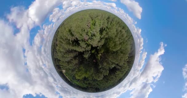 Vuelo sobre el verde bosque esférico panorama — Vídeo de stock