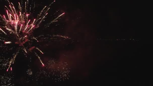 Vuurwerk bij nacht — Stockvideo