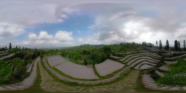 Terreno agrícola paisaje tropical en Indonesia vr360 — Vídeos de Stock