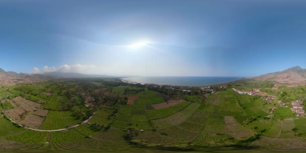 Tropikalny krajobraz pól uprawnych a miejscowości Bali, Indonezja. vr360 — Wideo stockowe