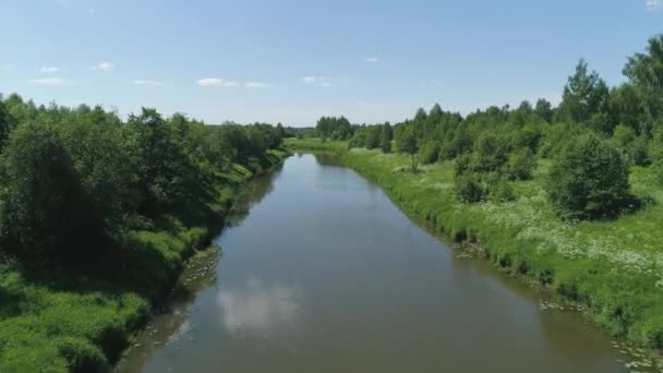 Landschap met rivier en bomen. — Stockvideo