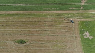 Tarlada tırmıkla tırmık taşıyan traktör..