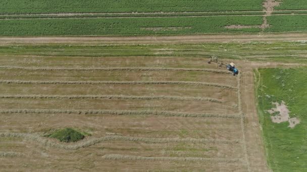 Traktor med rake tedders på gården fältet. — Stockvideo
