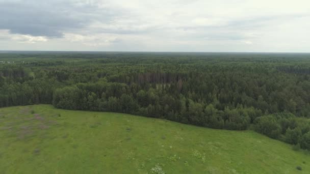 Vlucht over het groene woud. — Stockvideo