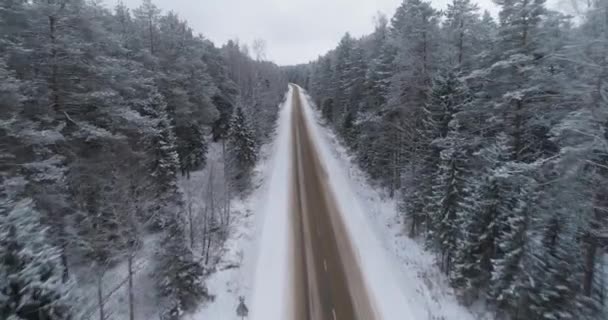 Camino de invierno en el bosque. — Vídeo de stock
