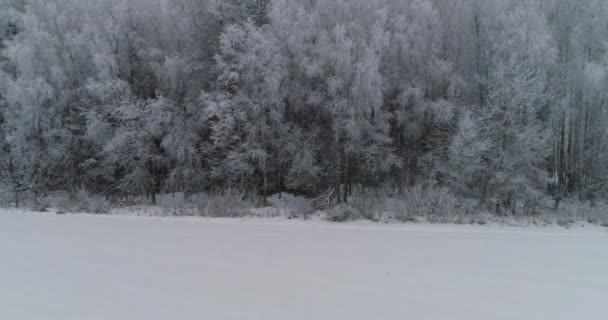 Paisaje invernal con bosque, campo. Paisaje invierno . — Vídeos de Stock