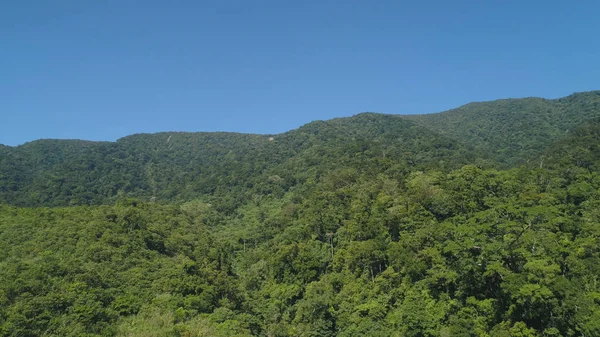 熱帯雨林と山の風景の眺め. — ストック写真