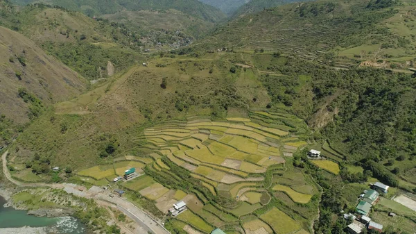 高山上的稻田. — 图库照片