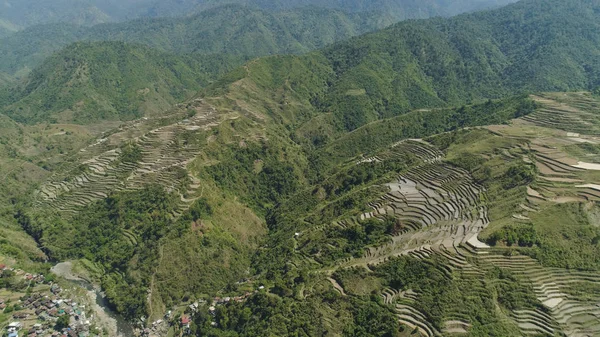 高山上的稻田. — 图库照片