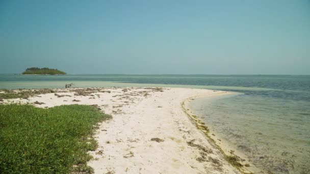 Homokos fehér strand. Fülöp-szigetek. — Stock videók