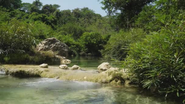 Fluss im Regenwald. — Stockvideo