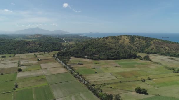 Campi agricoli vicino al mare . — Video Stock