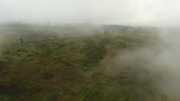 Ackerland in den Bergen im Nebel. Insel Jawa, Indonesien — Stockvideo