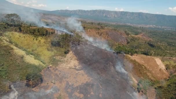 Luchtfoto bosbrand. Jawa eiland, Indonesië. — Stockvideo