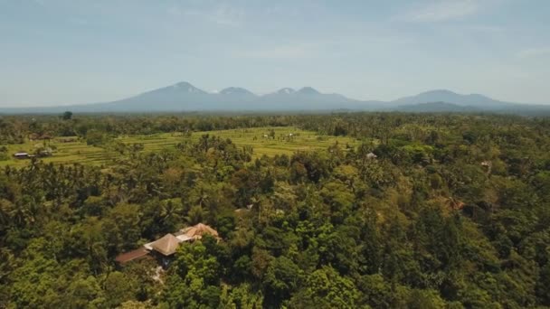 Горный пейзаж с долиной и деревней Бали, Индонезия — стоковое видео