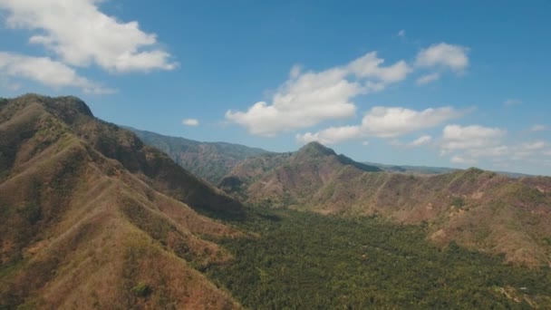 Vista del paisaje del bosque de montaña. Bali. — Vídeo de stock