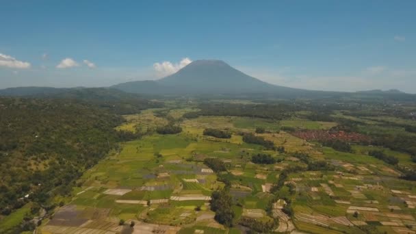 Berglandschap landbouwgronden en dorp Bali, Indonesië. — Stockvideo