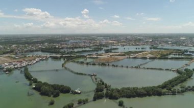 Kasaba mangroves suda arasında.