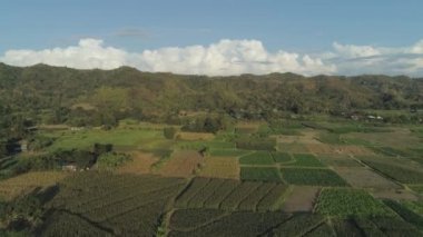 Pirinç Teras alanıyla Filipinler, Luzon manzara.
