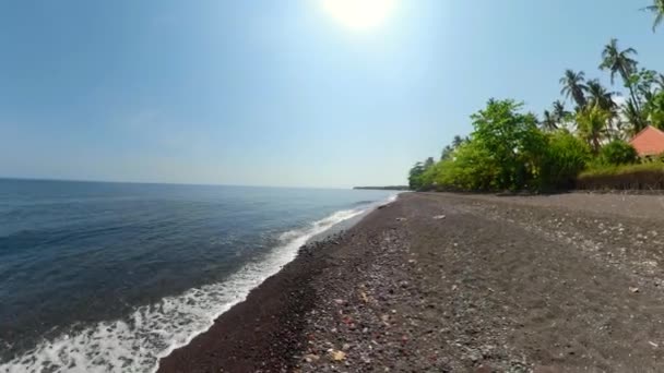 Spiaggia di sabbia vulcanica nera — Video Stock