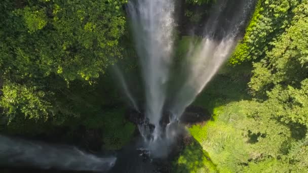 Bela cachoeira tropical Bali, Indonésia. — Vídeo de Stock