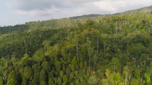 Paisaje tropical selva tropical y montañas — Vídeos de Stock