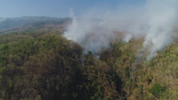 feu de forêt dans les montagnes