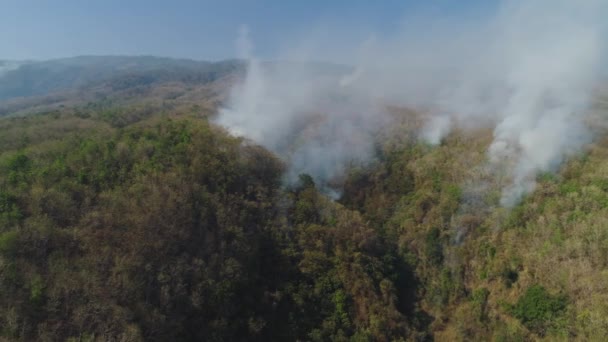 산에서의 산불 — 비디오