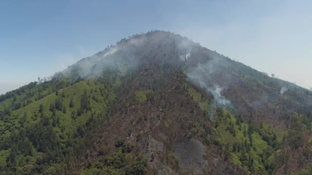 Feu de forêt dans les montagnes — Video