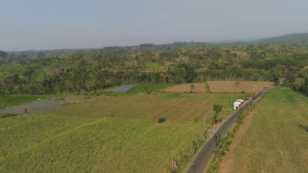 Paisaje agrícola en Asia — Vídeos de Stock