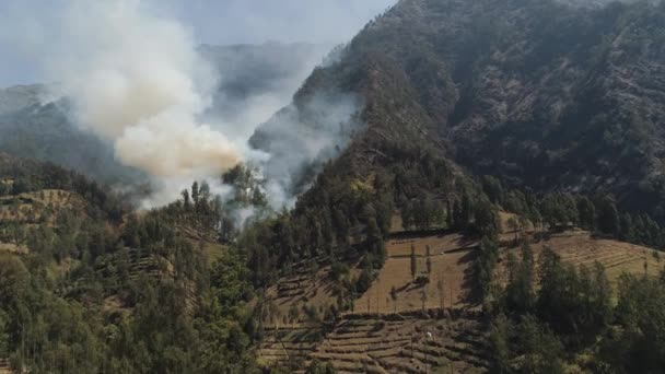 Incendio forestal en las montañas — Vídeo de stock