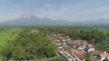 Endonezya 'da pirinç terasları ve tarım arazileri