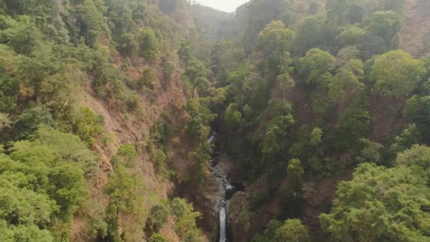 Paisagem tropical floresta tropical e cachoeira — Vídeo de Stock