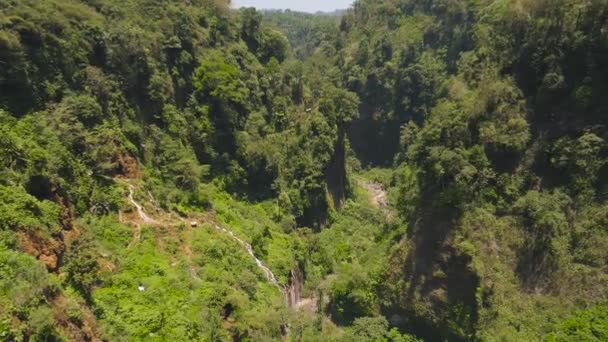 Selva tropical y cascada — Vídeo de stock