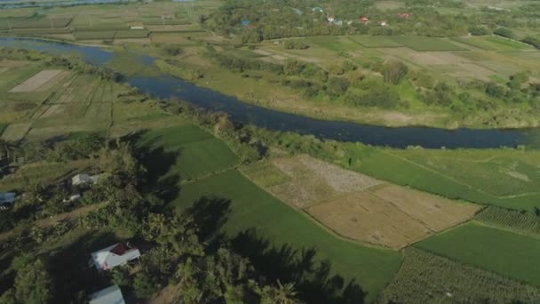Yel değirmenli güneş çiftliği. Filipinler, Luzon — Stok video