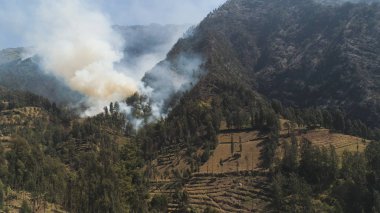 Dağlarda orman yangını