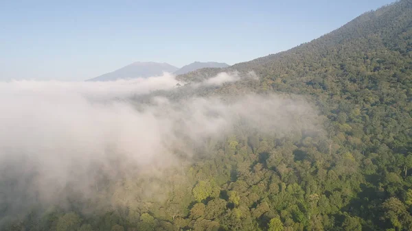 Paisagem tropical floresta tropical e montanhas — Fotografia de Stock