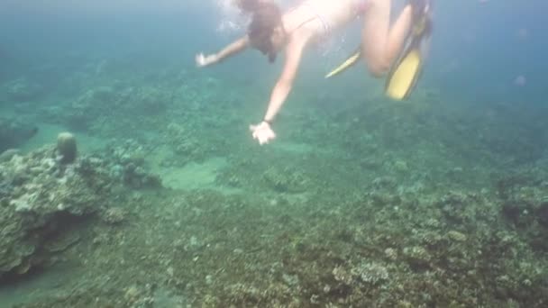 Víz alatti lány snorkeling. — Stock videók