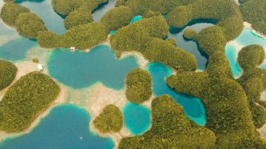 Hava manzaralı tropikal göl, deniz, sahil. Bucas Grande Adası, Sohoton Koyu. Filipinler.