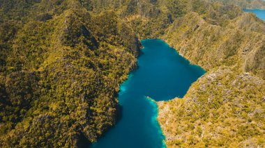 Dağ lake Kayangan tropik bir adada, Filipinler, Coron, Palawan.
