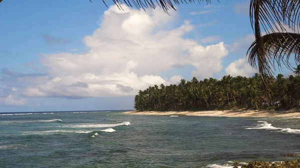 Tropik bir adada kumsal. Filipinler, Siargao.
