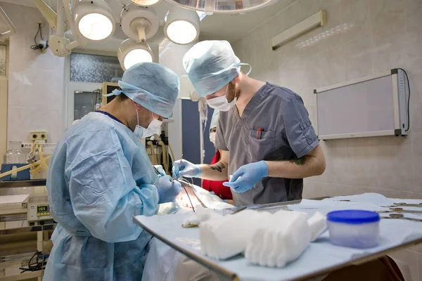 Veteriner kliniğinde bir köpeğin cerrahi müdahalesi — Stok fotoğraf