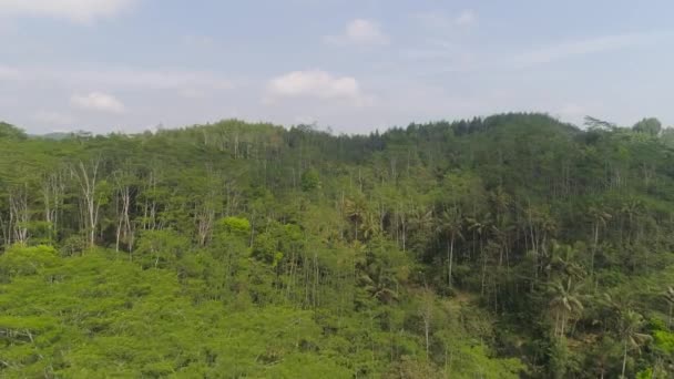 Trópusi táj esőerdő és hegyek — Stock videók
